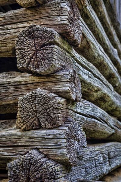 VA, Roanoke, Explore Park Detail of log cabin
